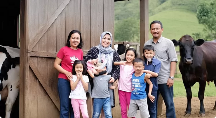 Sirukam Dairy Farm, Wisata Edukasi Favorit Keluarga di Kabupaten Solok 