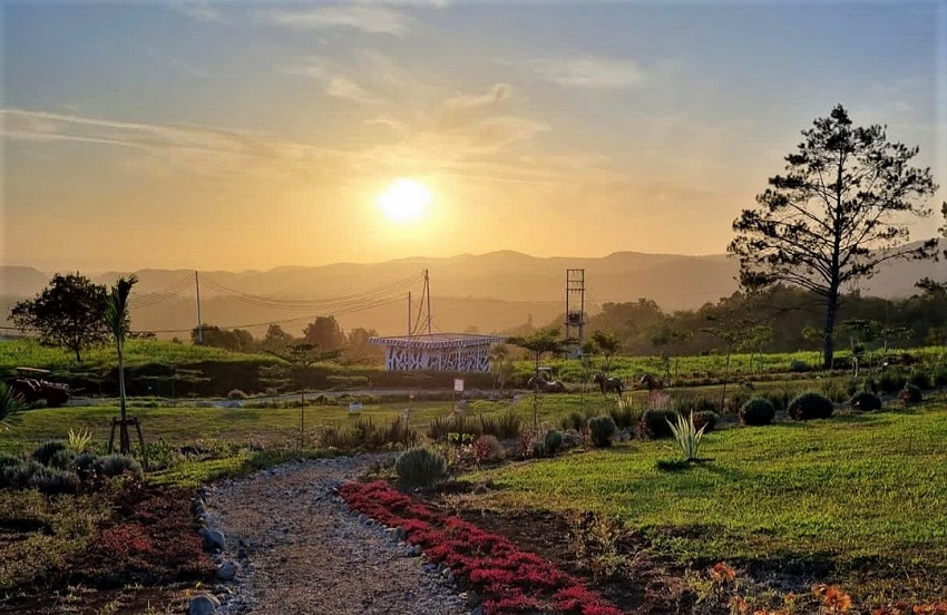 About Sirukam Dairy Farm